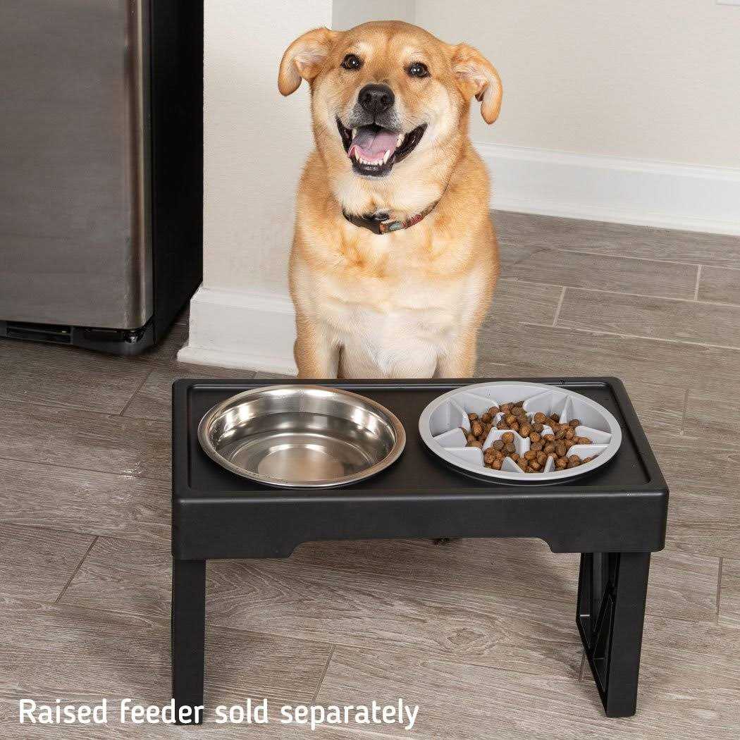 Slow Feeder Dog Bowl with Feeder Holes M576978