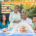 Large Pop-up Mesh Food Covers F52272