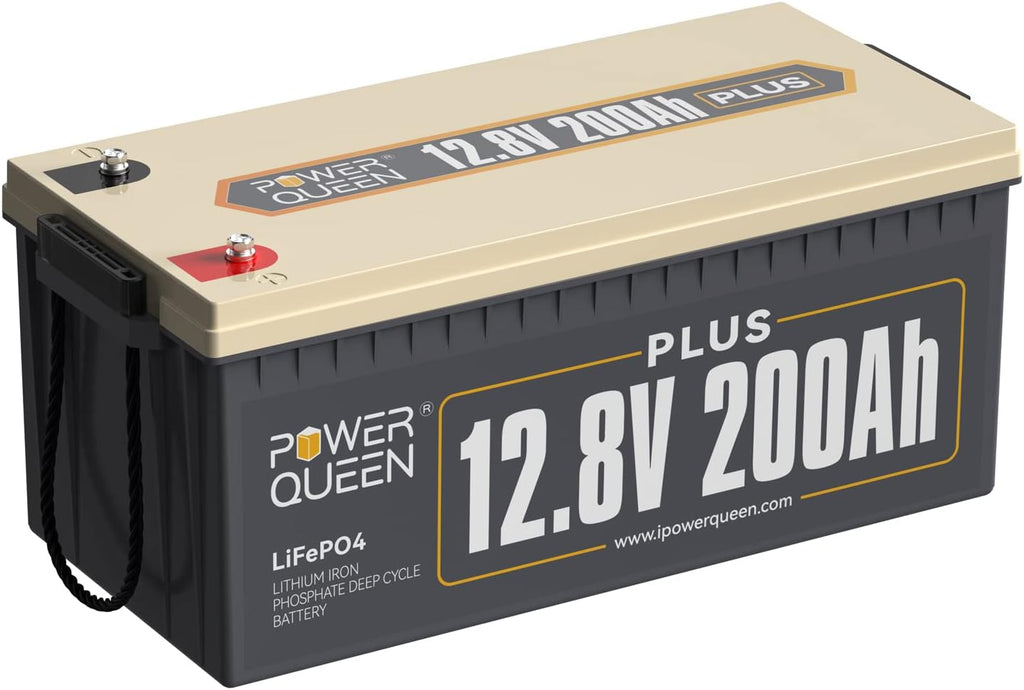 12V 200Ah LiFePO4 Deep Cycle Lithium Battery with 200A BMS Y89371