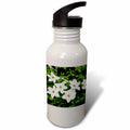 21 oz Sports Water Bottle V30292