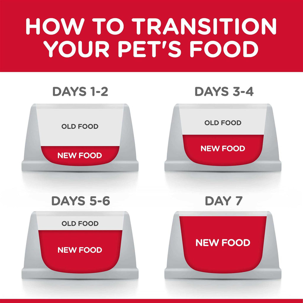 Dog Food Recipe Q588944