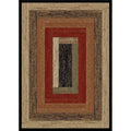 Multi Color Area Rug A4961