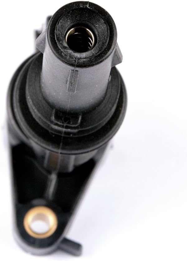 Ignition Coils and Spark Plugs Set of 8 B981