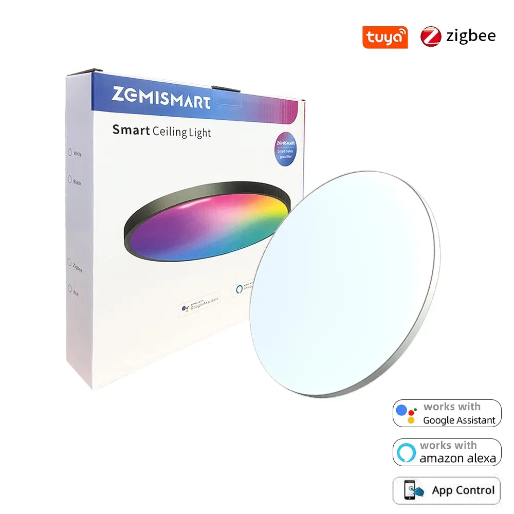 24W Smart LED Ceiling Light L241214