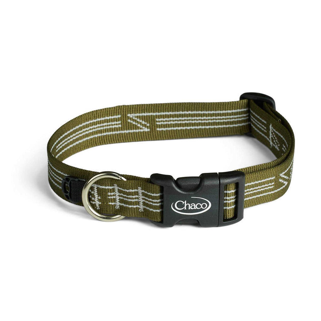 Dog Collar A1092