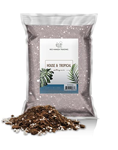 2 Quarts Fast Draining Potting Soil Blend C38419