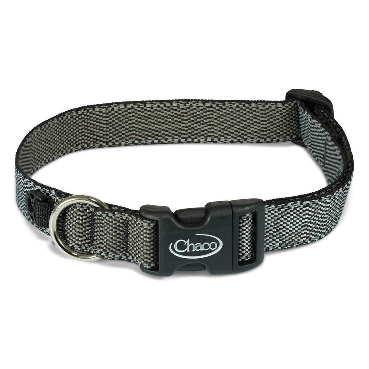 Dog Collar A1092