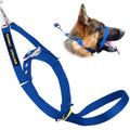 No Pull Padded Dog Training Head Collar A7330