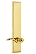 Polished Brass Tall Plate Privacy Lever V533324
