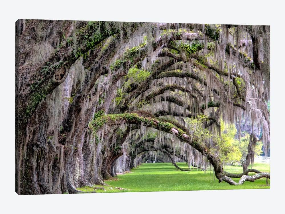 Canvas Wall Decor Prints D220