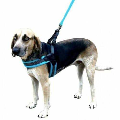 Nylon Mesh Dog Harness G58572