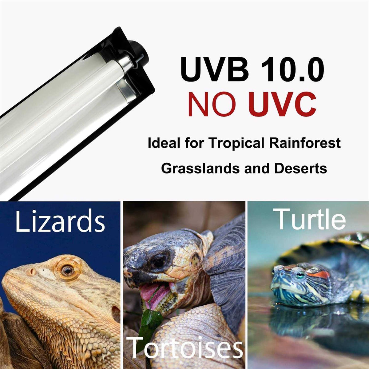 T5 HO UVB Lighting Combo Kit with UVB 10.0 Fluorescent Tube G323