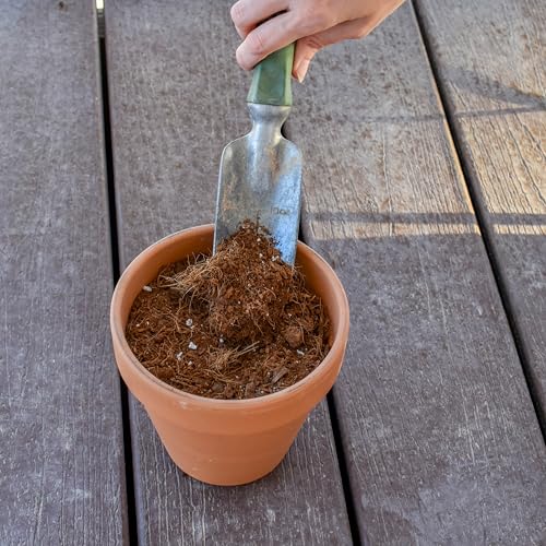 2 Quarts Fast Draining Potting Soil Blend C38419