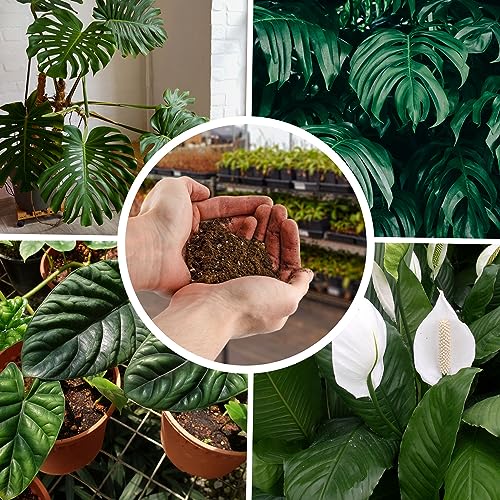 2 Quarts Fast Draining Potting Soil Blend C38419