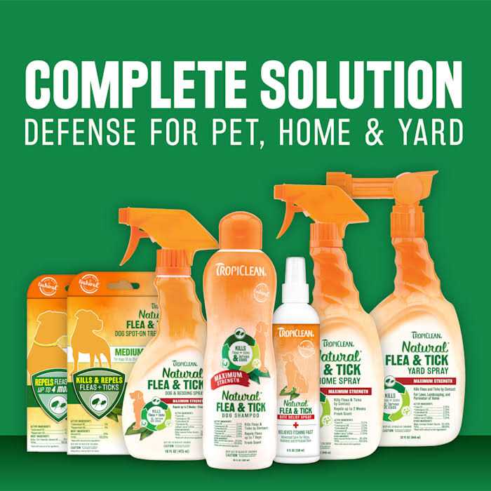 Natural Flea & Tick Shampoo Q331