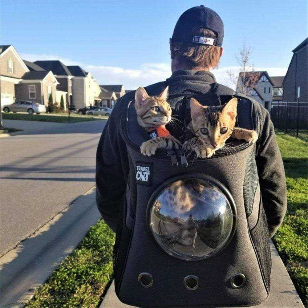 Cat Backpack B129