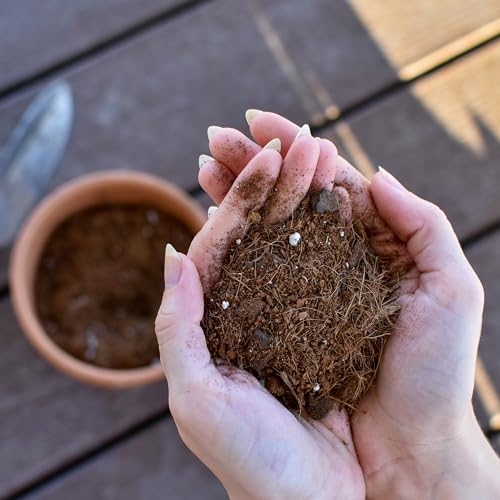 2 Quarts Fast Draining Potting Soil Blend C38419