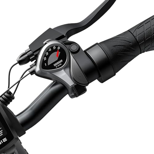 Foldable 20" x 3.0 Fat Tire Electric Bike with 52V 13AH Removable Battery Q232071