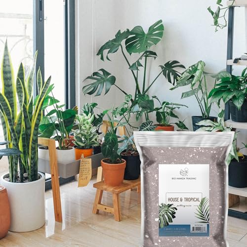 2 Quarts Fast Draining Potting Soil Blend C38419