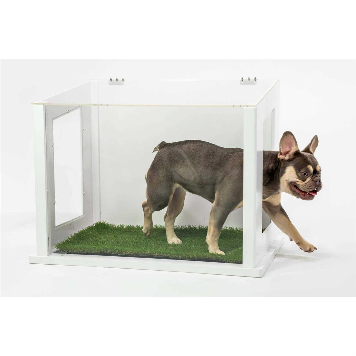 Pet Potty P843