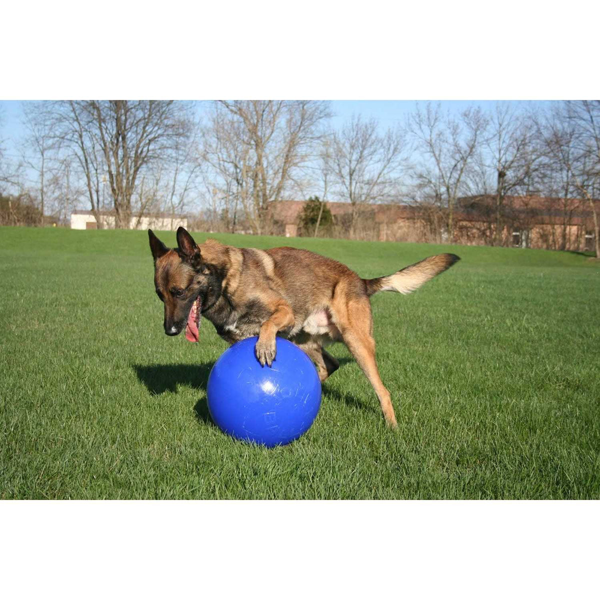 Push n Play Ball C184214