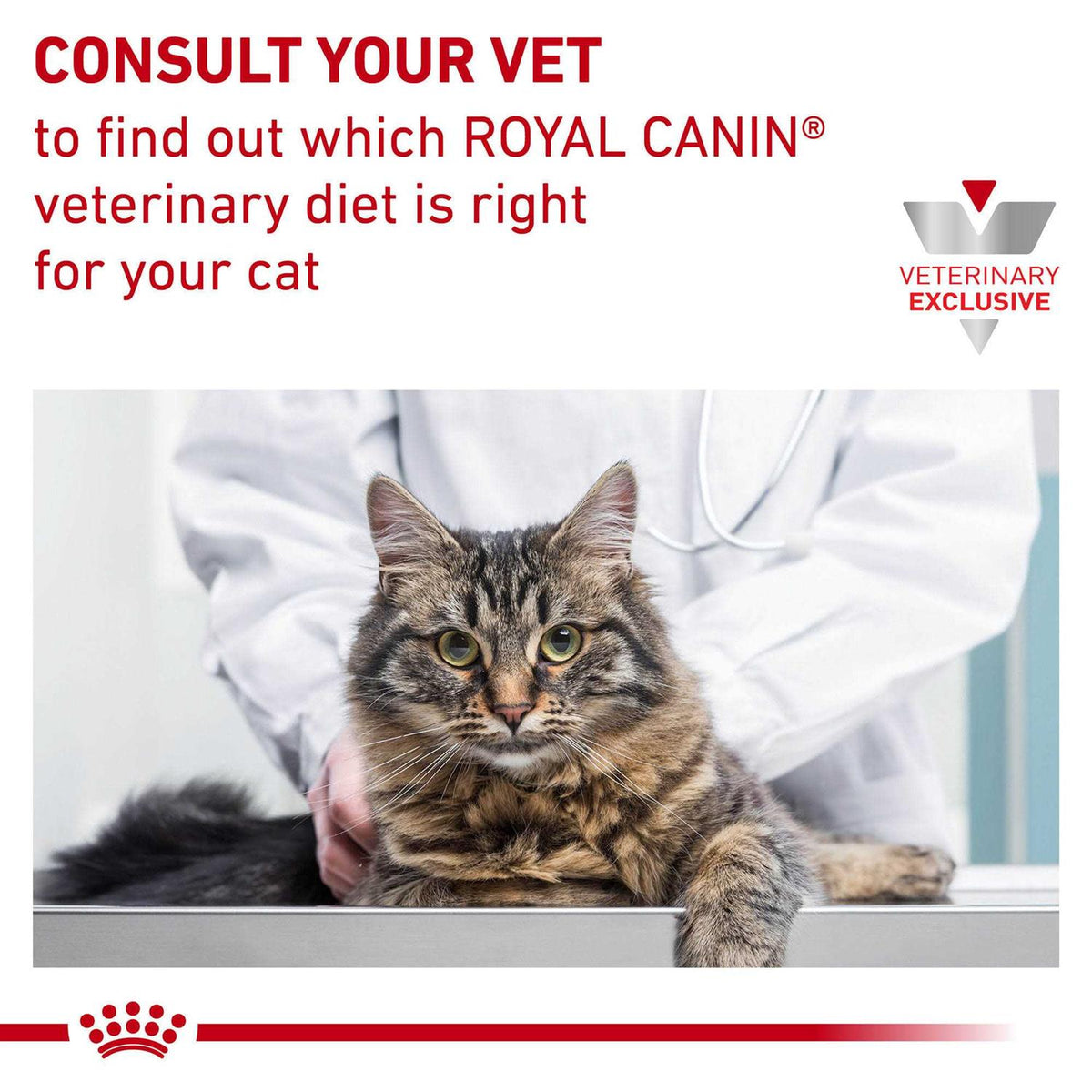Veterinary Diet Dry Cat Food D594