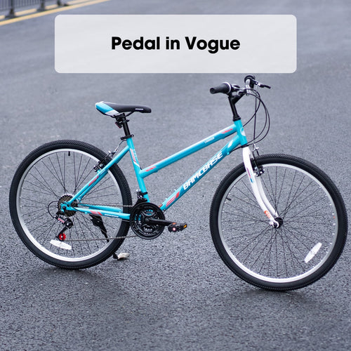 24 26 inch Mountain Bike 21 Speeds E398