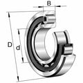 Cylindrical Roller Bearings N5781