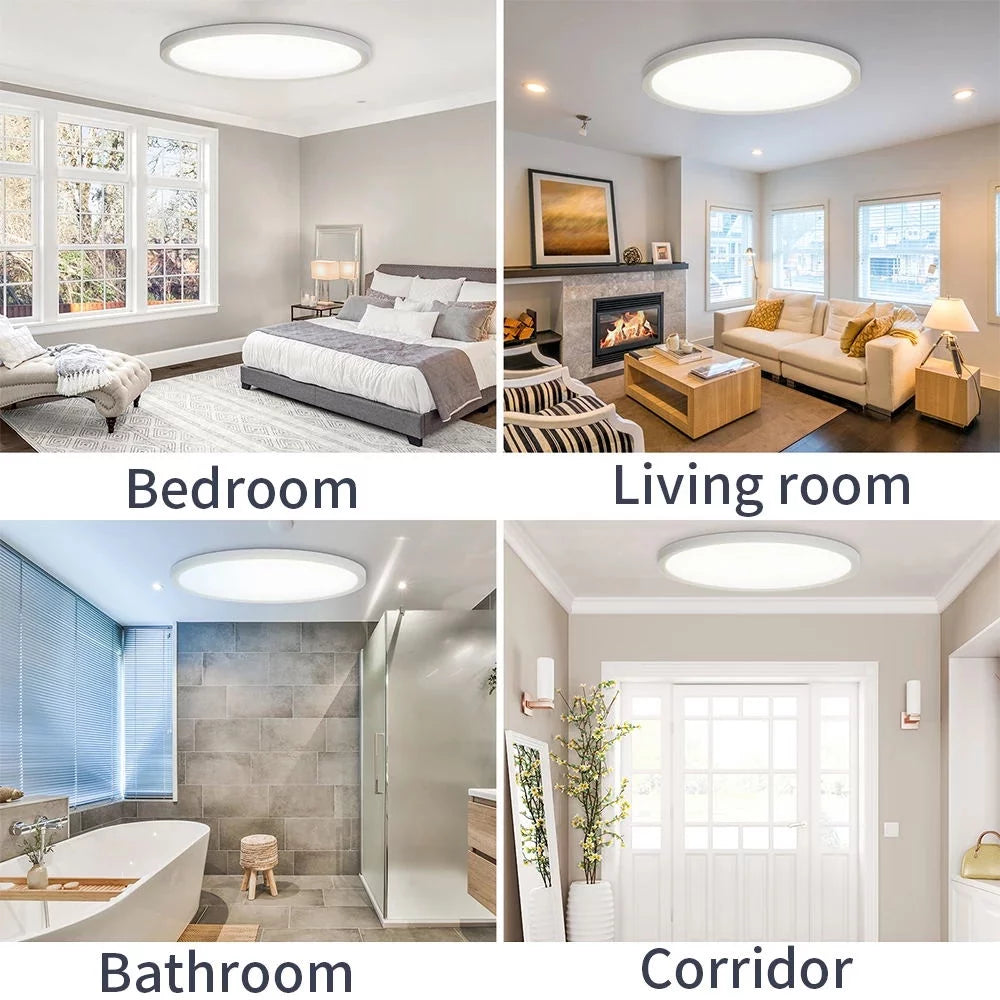24W Smart LED Ceiling Light L241214