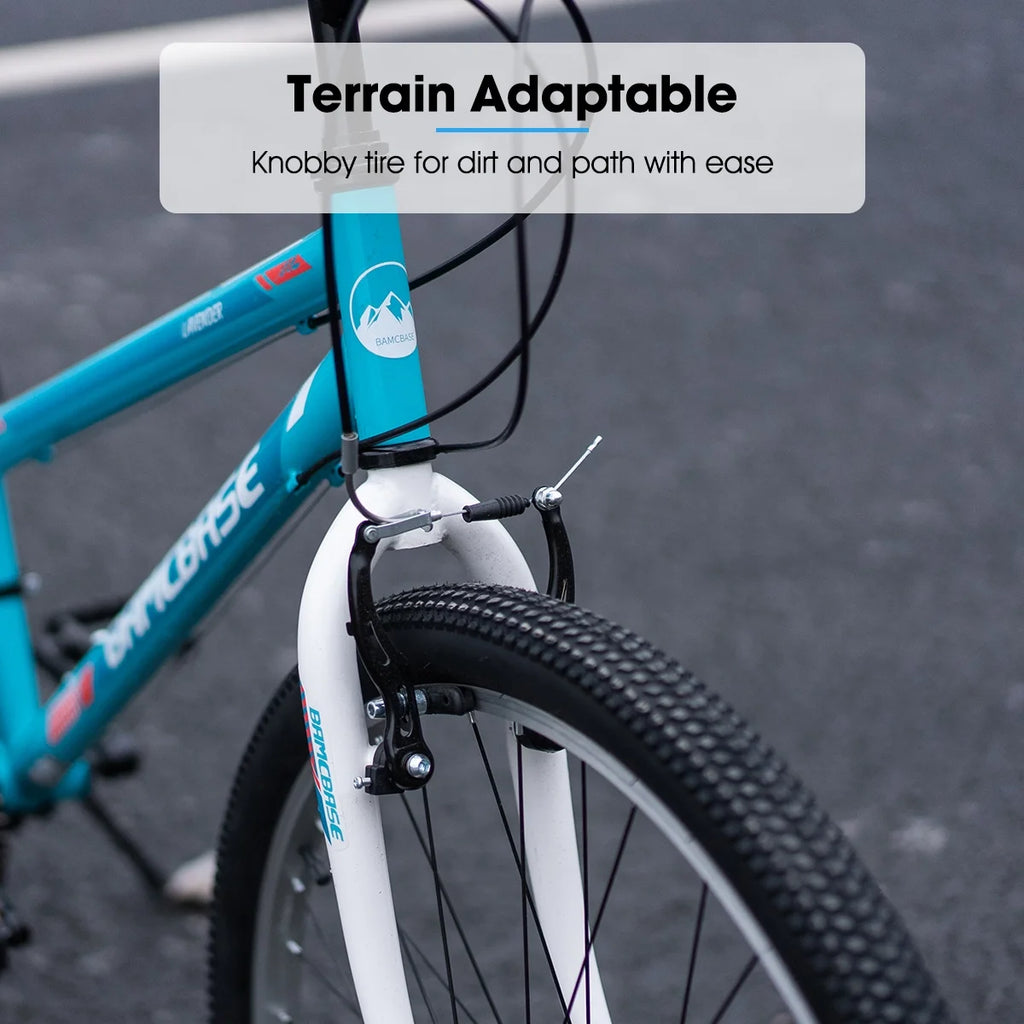 24 26 inch Mountain Bike 21 Speeds E398