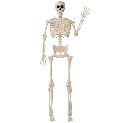 36" Posable Hanging Skeleton T746814