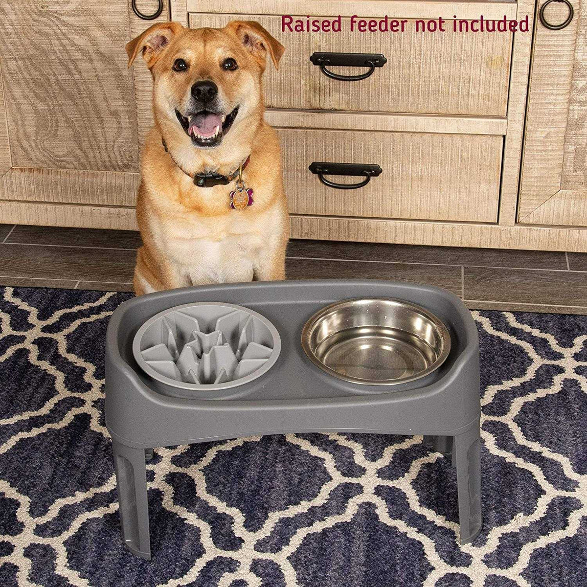 Slow Feeder Dog Bowl with Feeder Holes M576978