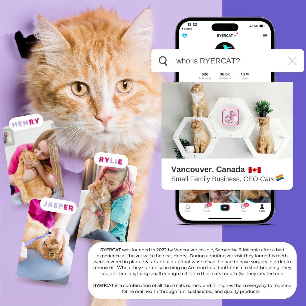 Dual Sided Cat Toothbrush M588832