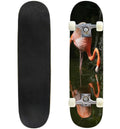31"x8" Pro Complete Skateboard Cruiser B996