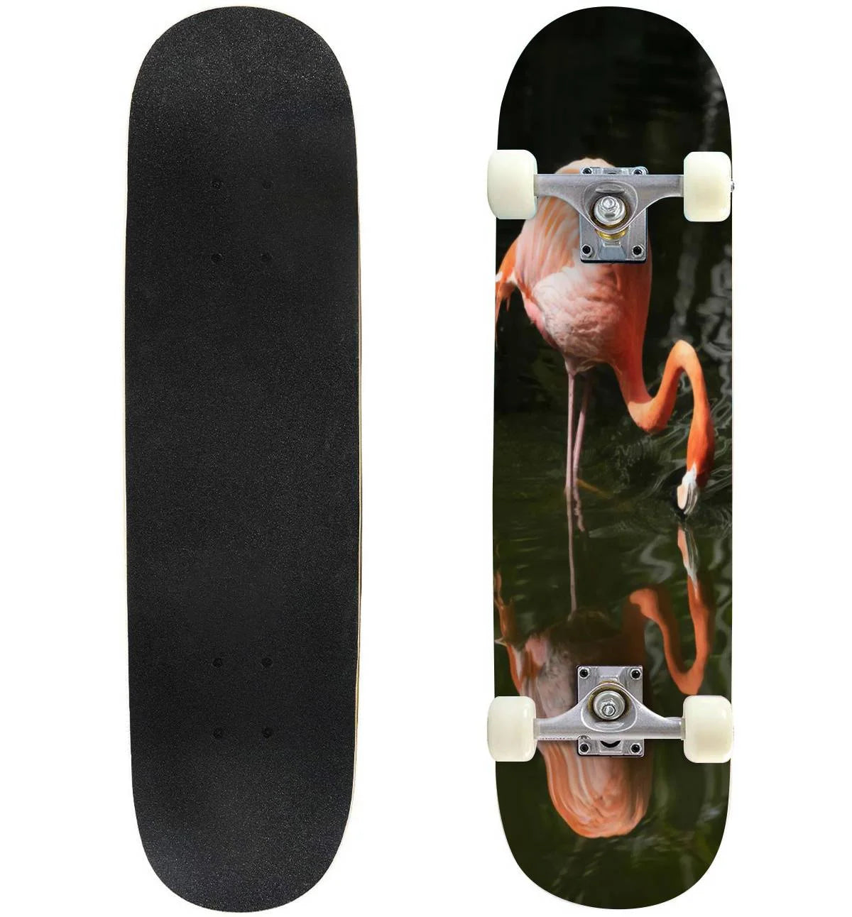 31"x8" Pro Complete Skateboard Cruiser B996