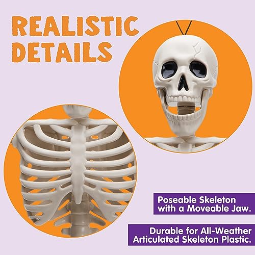36" Posable Hanging Skeleton T746814