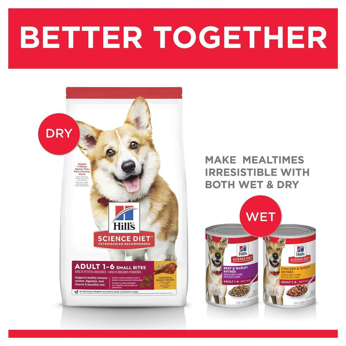 Dog Food Recipe Q588944