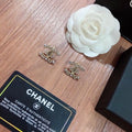 Earrings W5706