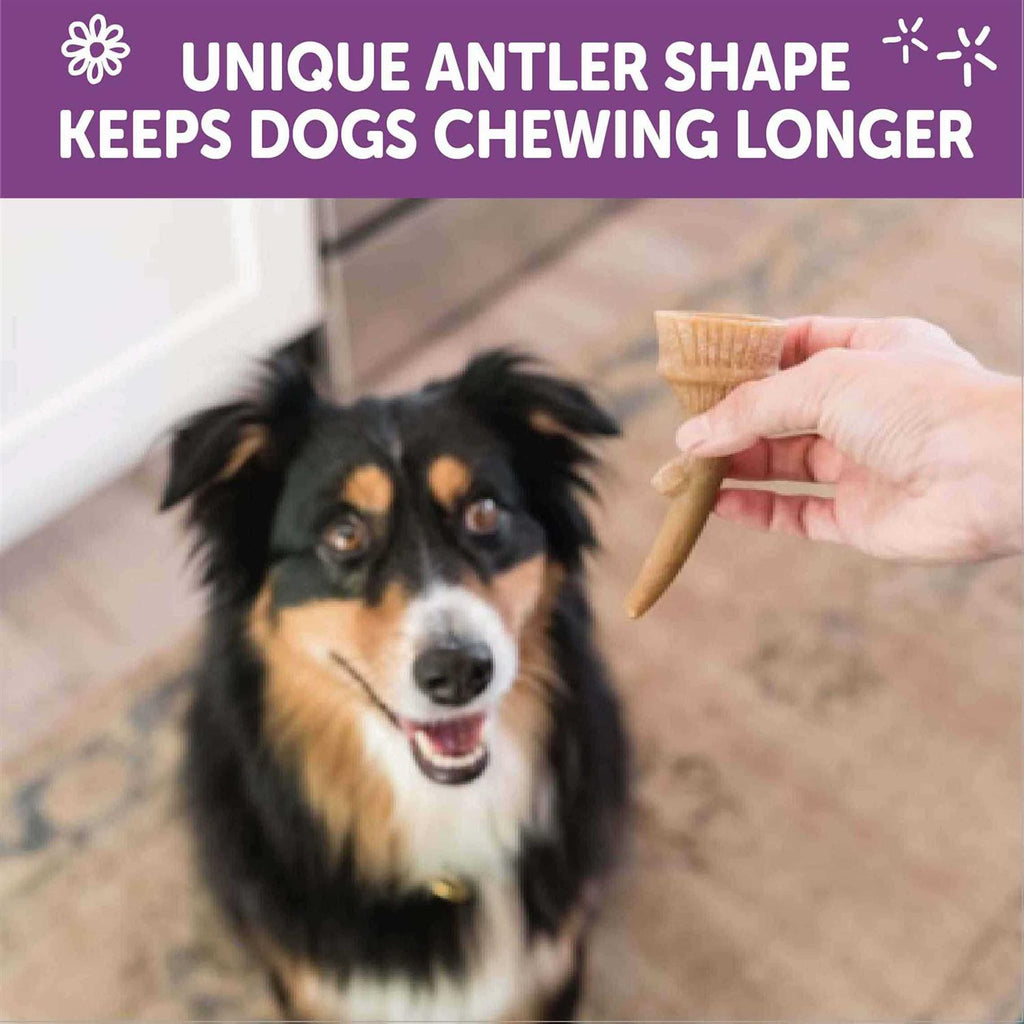 Dog Chews Value Bag L20671