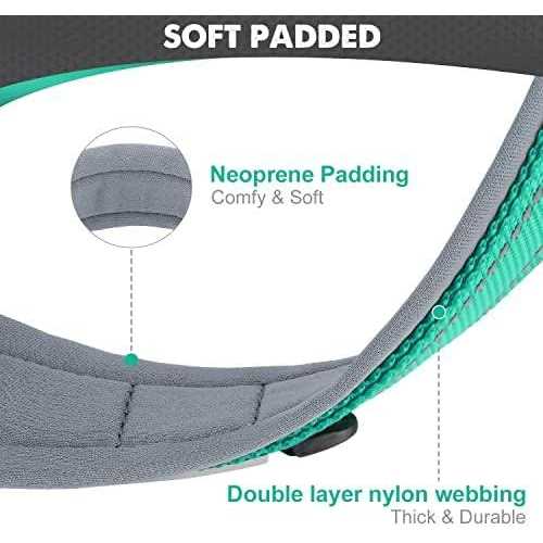 Reflective Neoprene Padded Nylon Dog Collar H41151