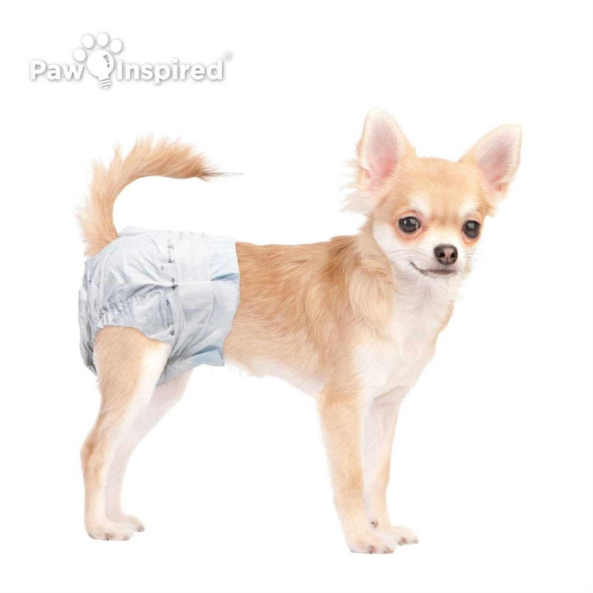 Disposable Female Dog Diapers Q701