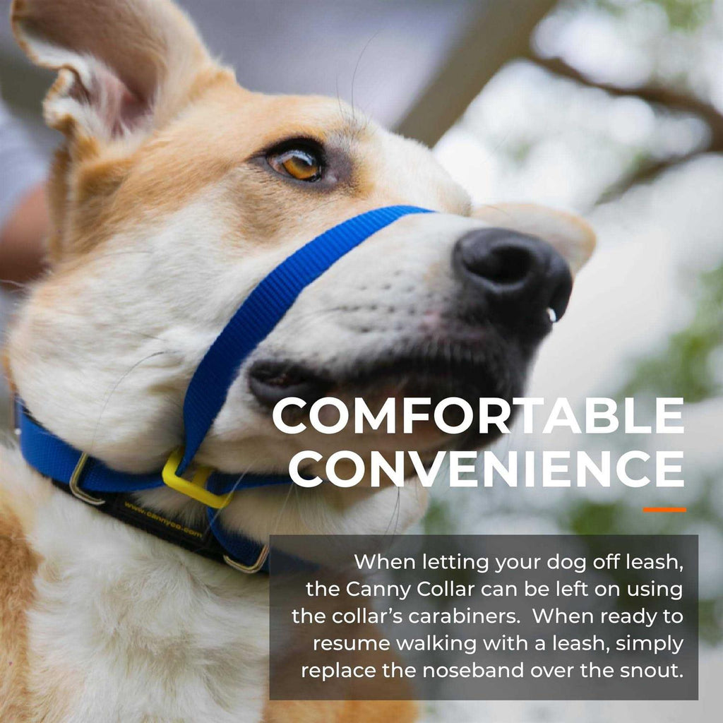 No Pull Padded Dog Training Head Collar A7330