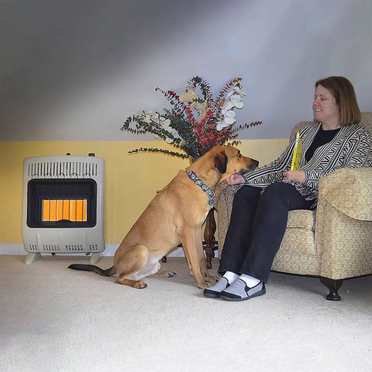 18000 BTU Propane Heater 2 Pack Q5454