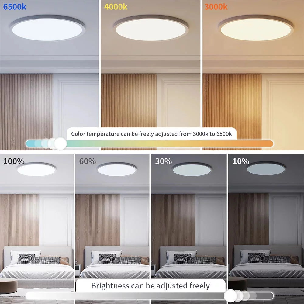 24W Smart LED Ceiling Light L241214