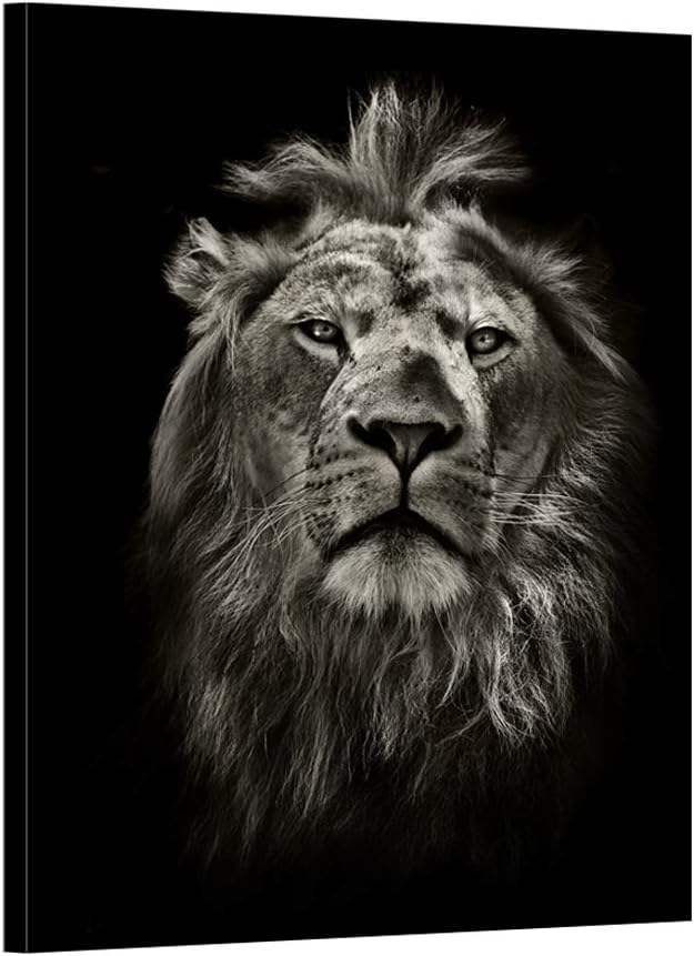 Black and White Lion Portrait Canvas Prints Stretched Wood Frame 24x32inch J205
