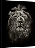 Black and White Lion Portrait Canvas Prints Stretched Wood Frame 24x32inch J205