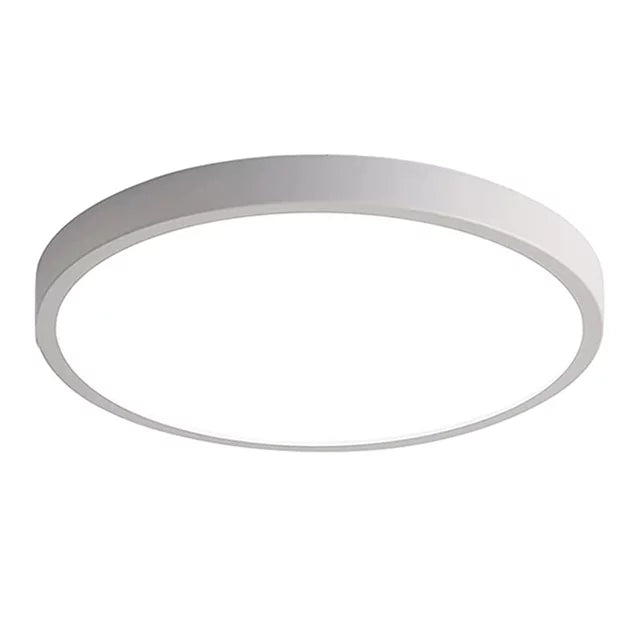 24W Smart LED Ceiling Light L241214