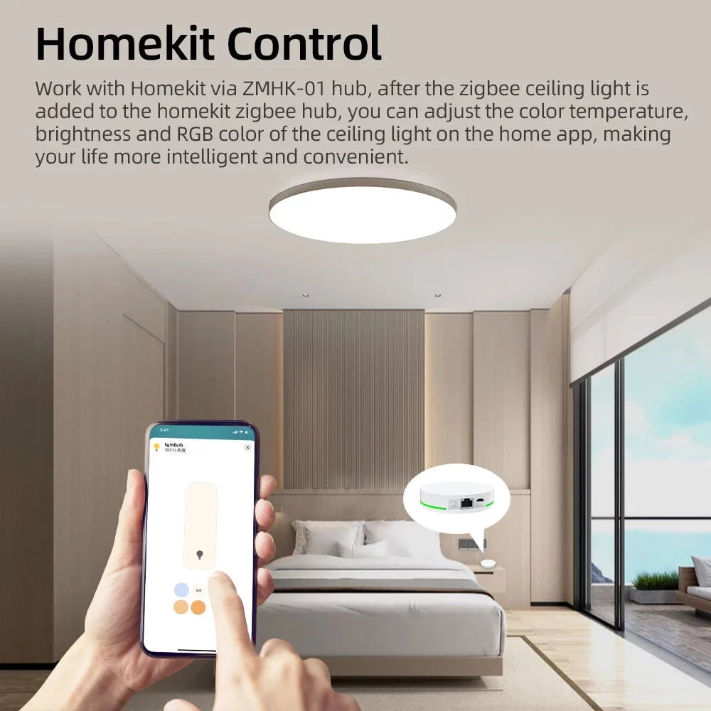 24W Smart LED Ceiling Light L241214