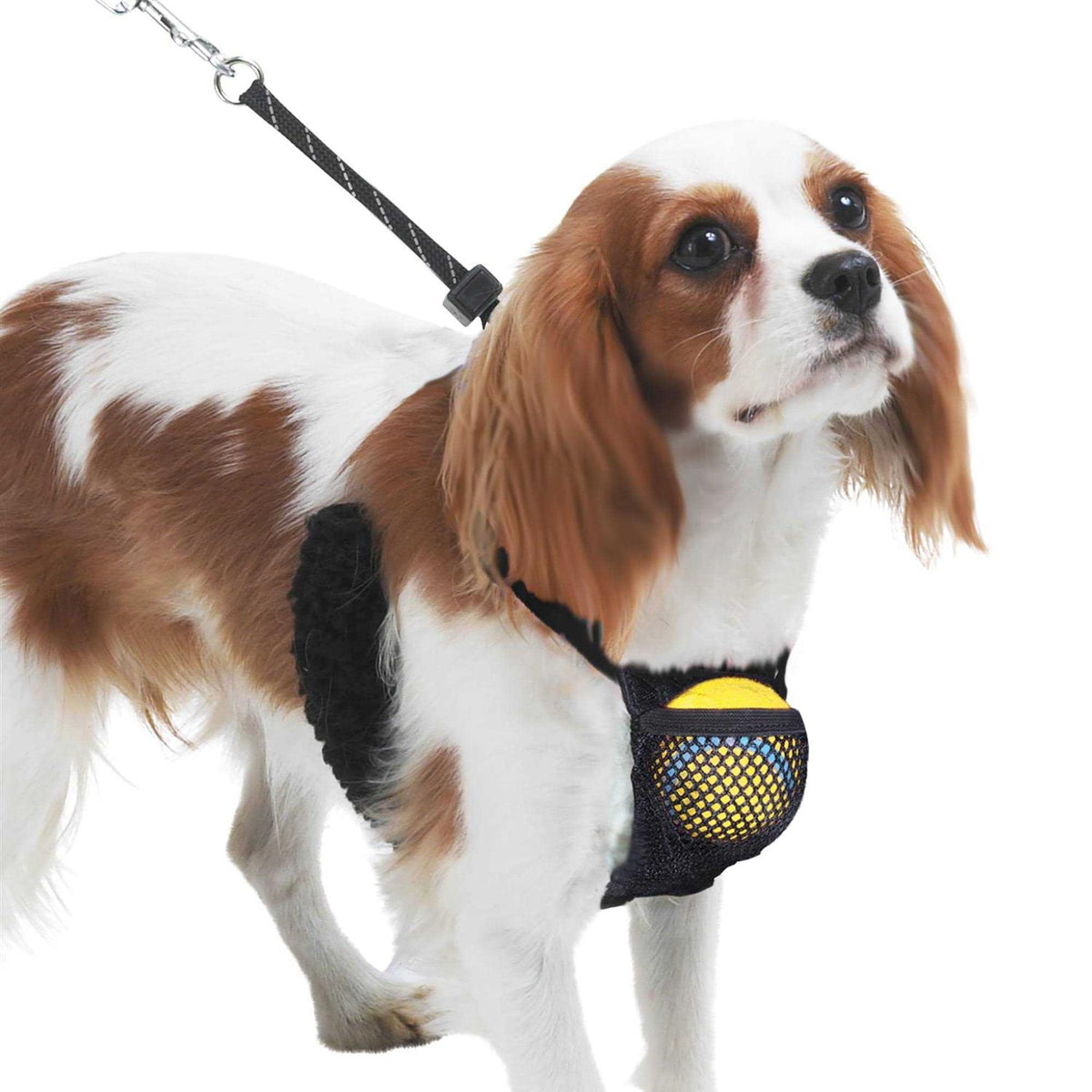 Nylon Mesh Dog Harness G58572