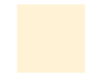 ivory 8.5 in x 11 in 250 sheet card stock Z3245